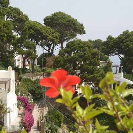 Le Tuie Villa